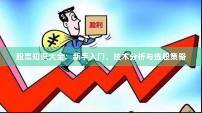 股票知识大全：新手入门、技术分析与选股策略